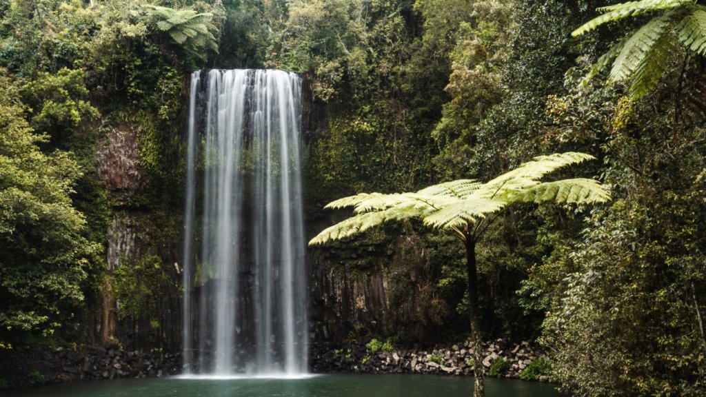 Millaa Millaa Falls