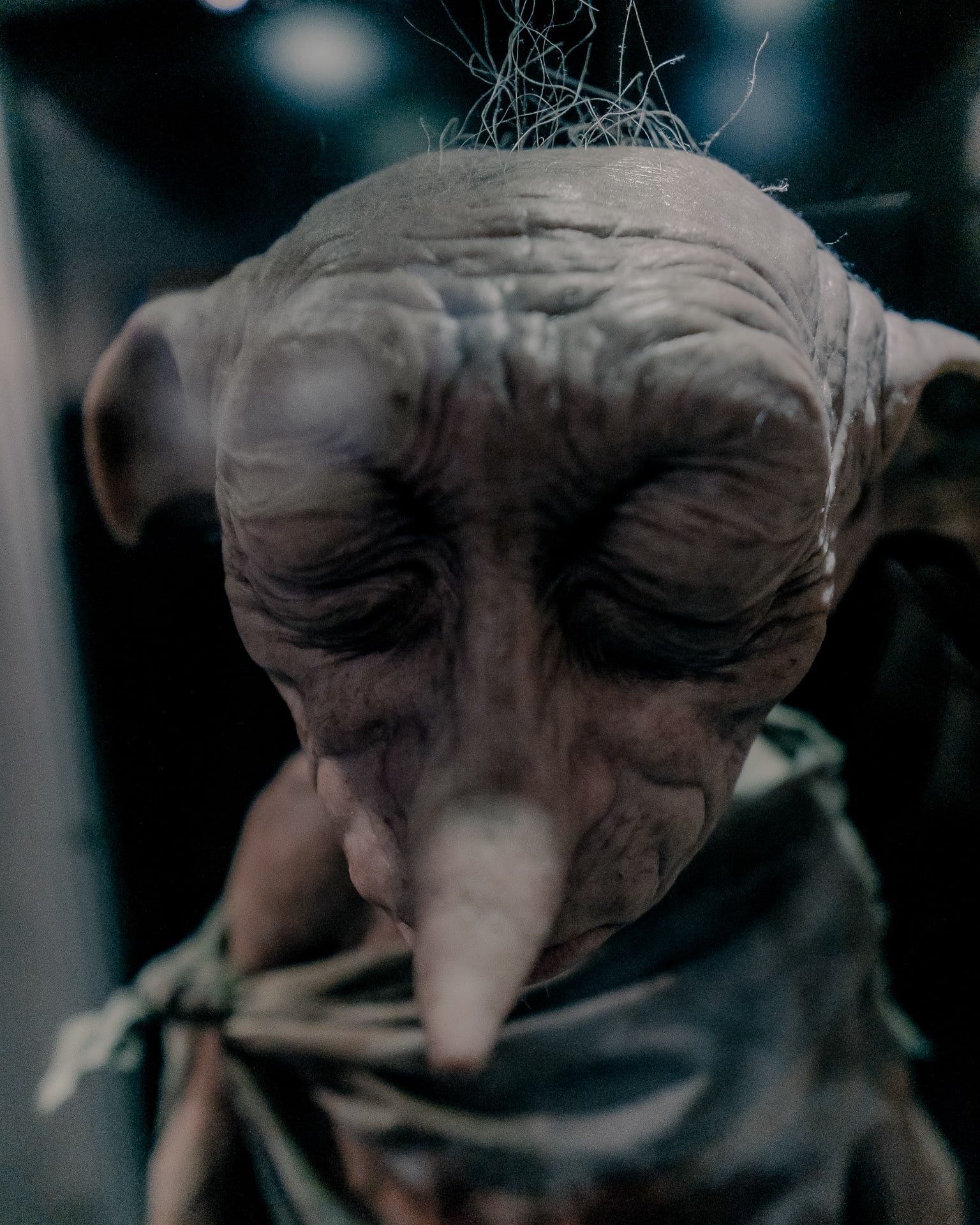 Dobby