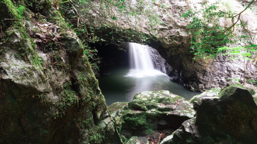 Springbrook National Park