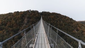 Geierlay Suspension Bridge