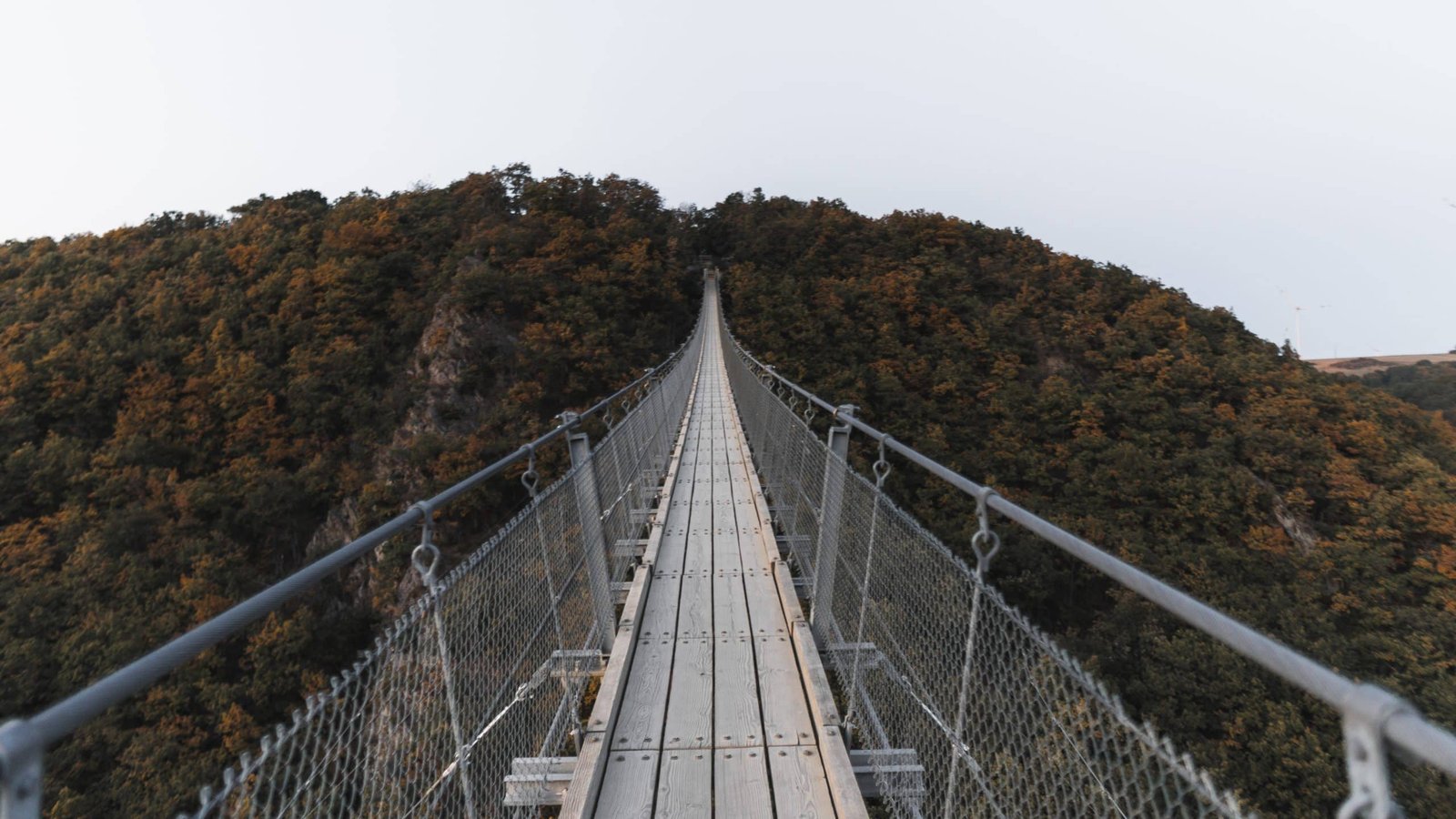 Geierlay Hängeseilbrücke