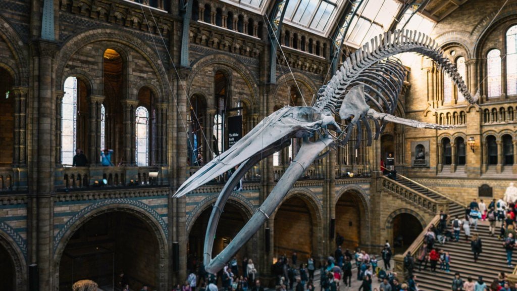 Natural History Museum