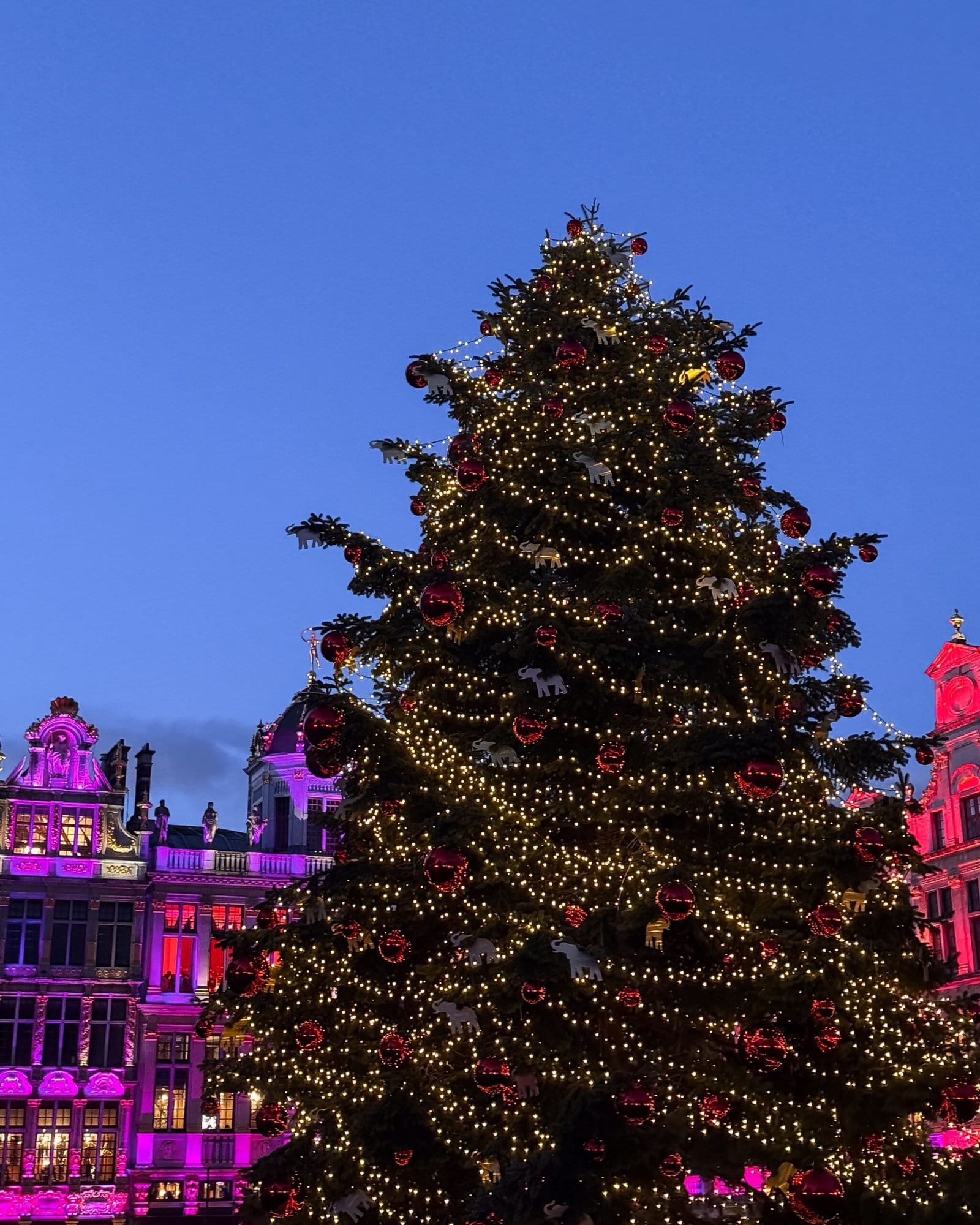 Christmas tree at the Grand-Place