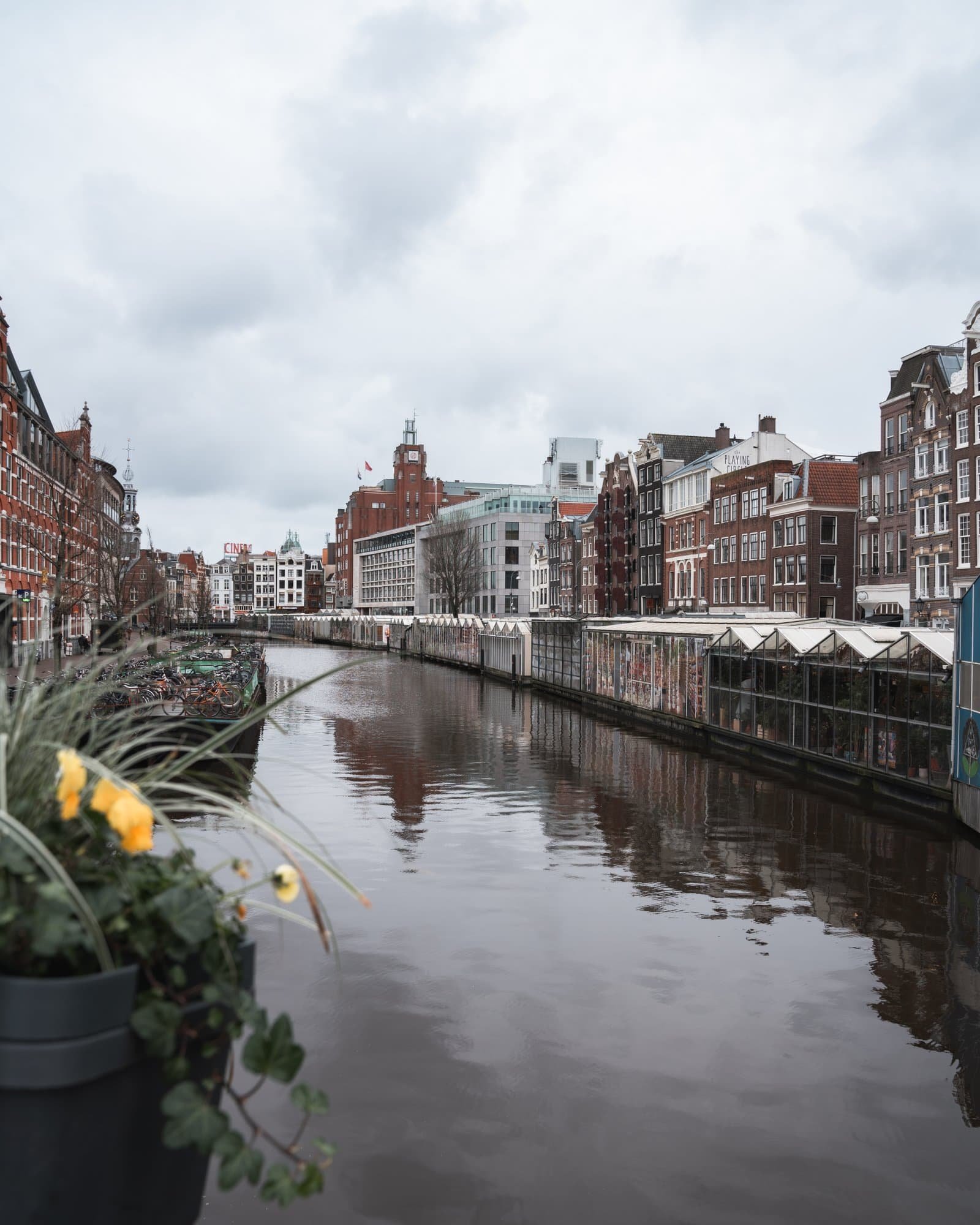 Bloemenmarkt