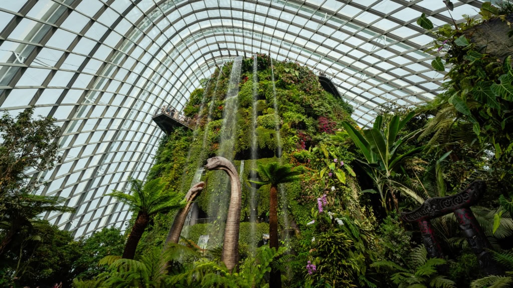 Cloud Forest