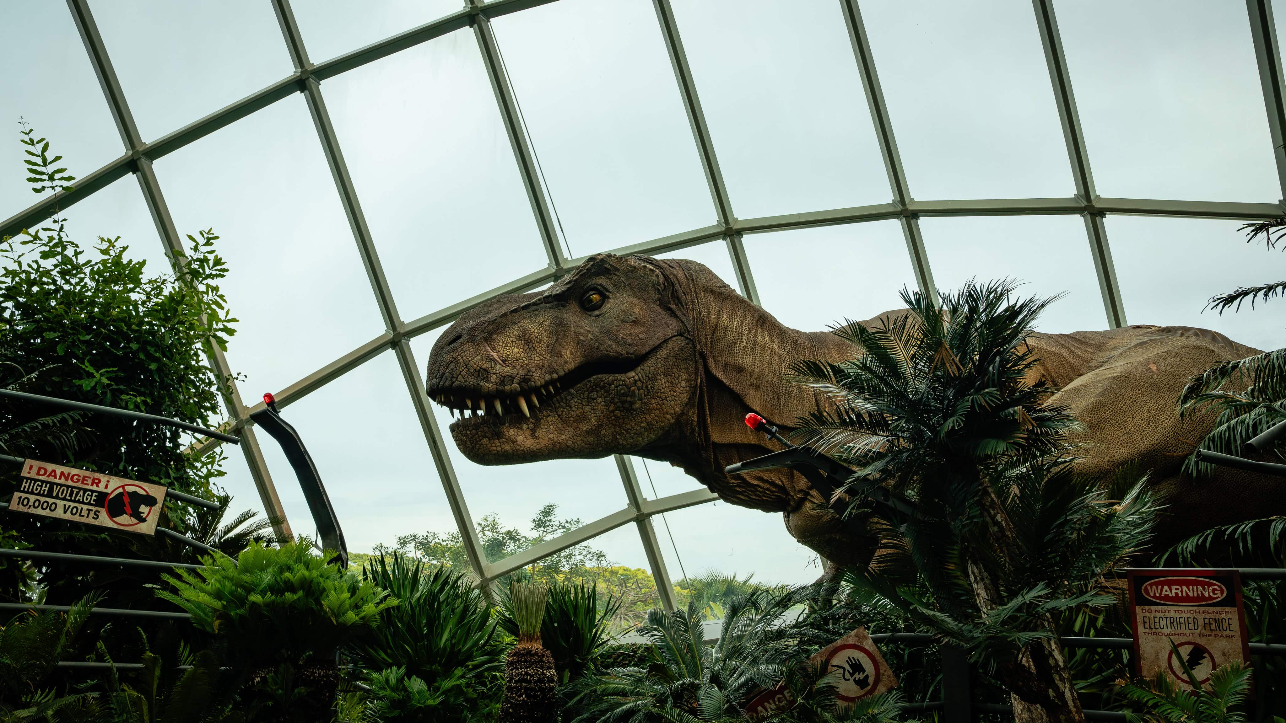 T-Rex at Cloud Forest