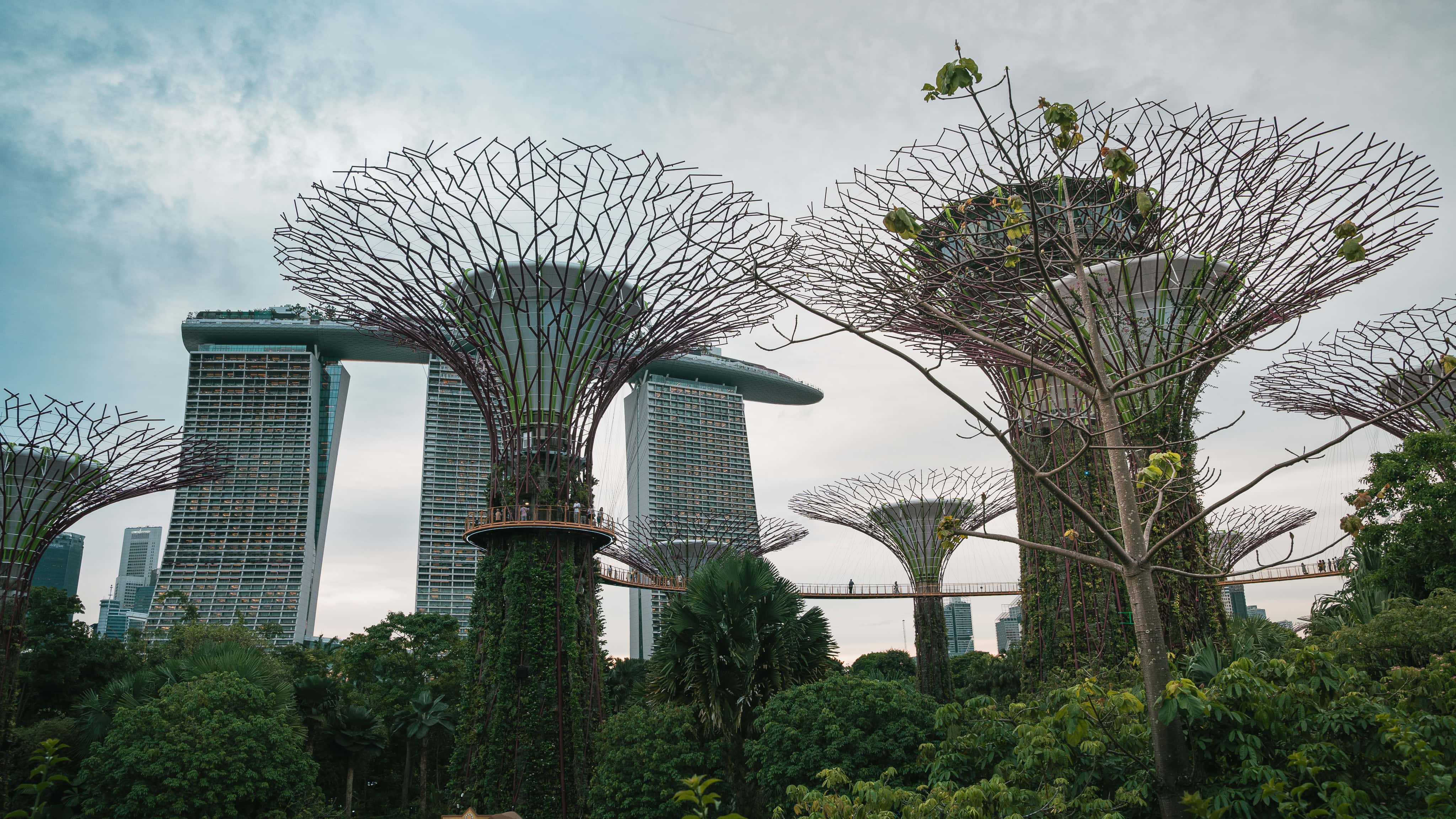Gardens by the Bay