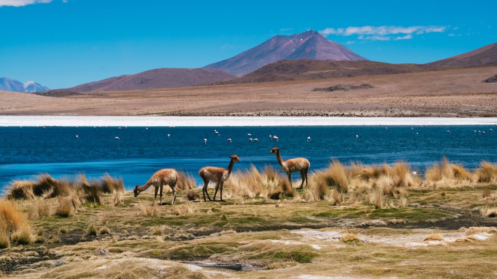 Cañapa Lagoon
