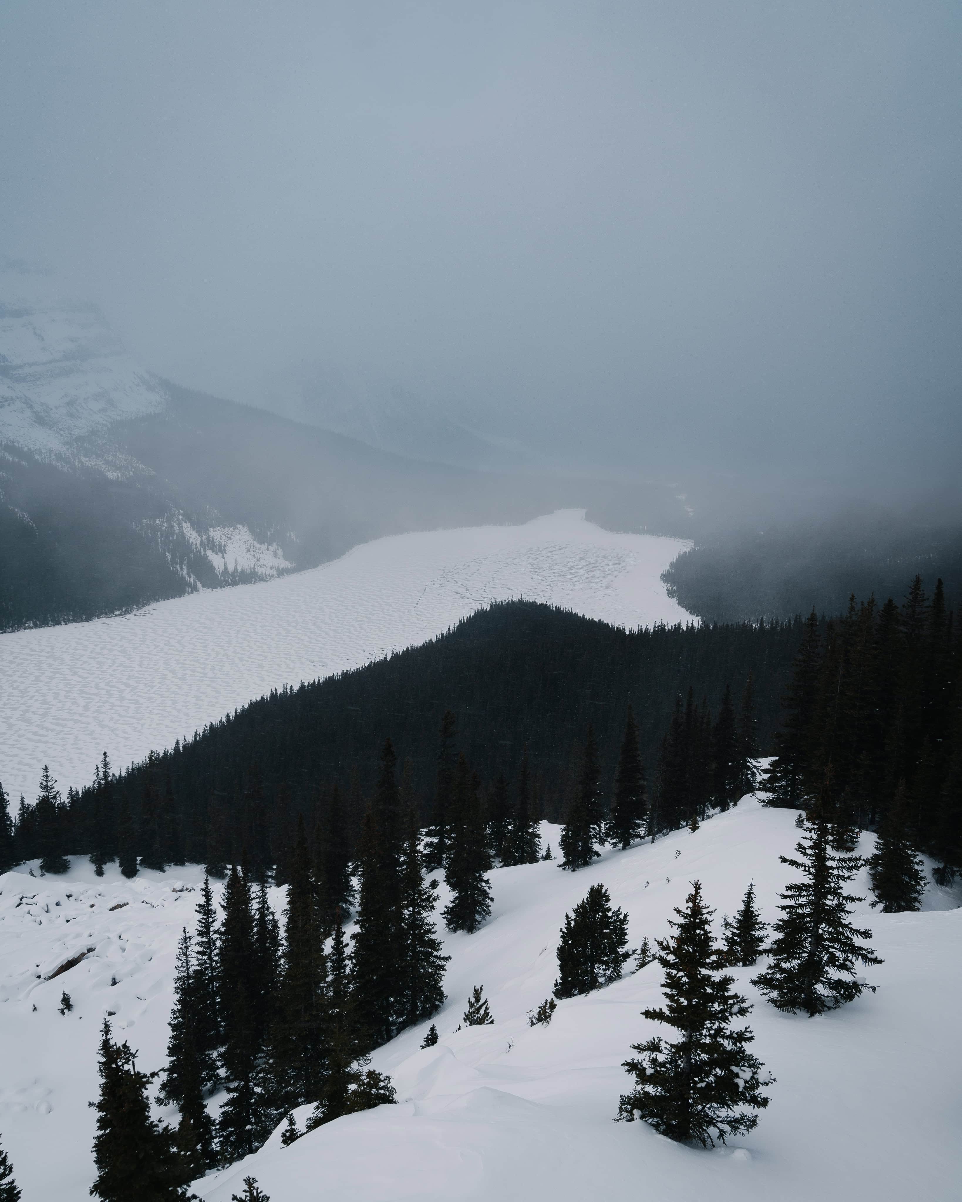 Peyto Lake